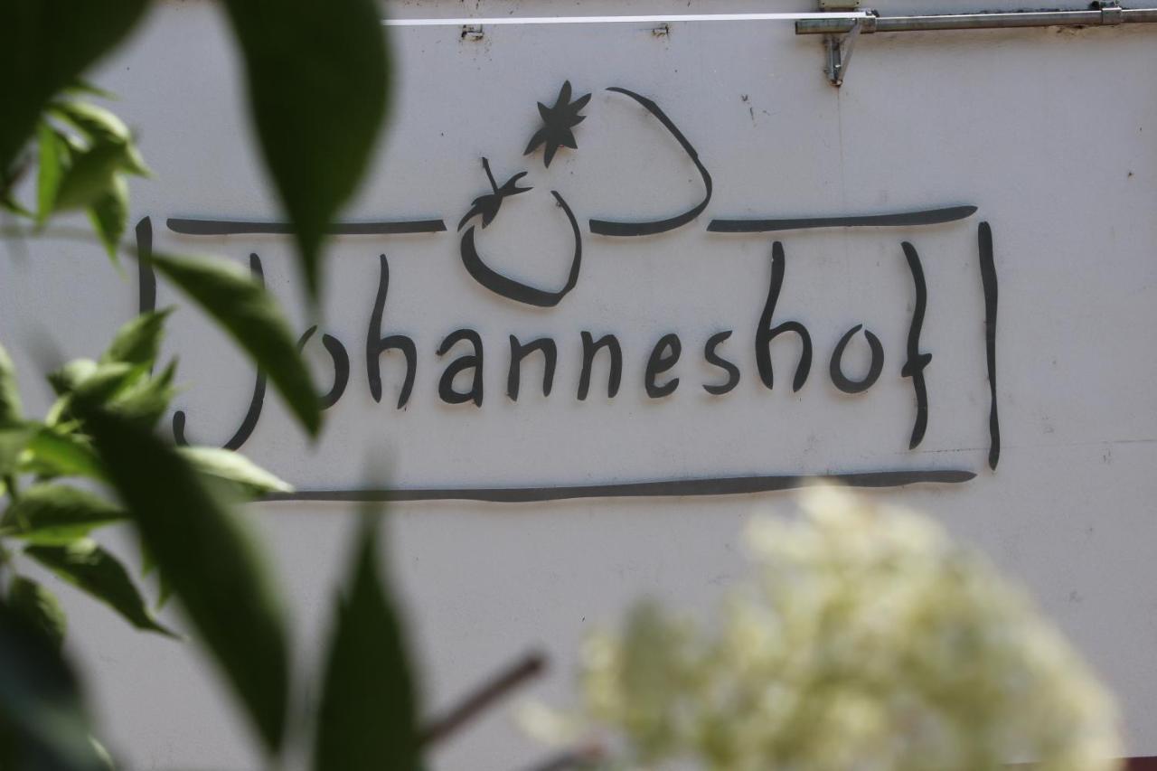 Johanneshof Gaestehaus Hockenheim Extérieur photo